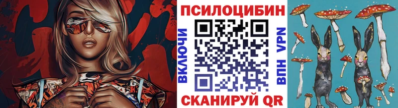 Купить где  Слободской  Псилоцибиновые грибы Magic Shrooms 